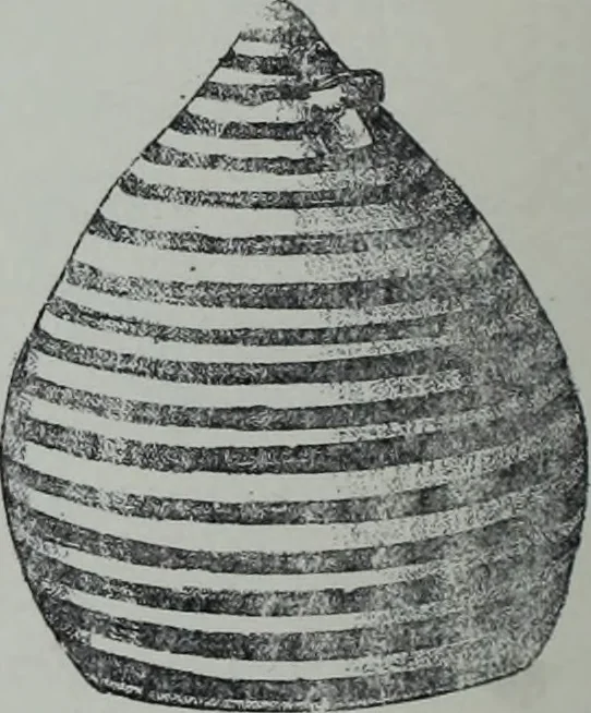 An illustration from Archaiologik ephmeris : ekdidomen hypo ts en Athnais Archaiologiks Hetairias, 1862, leaf 199
