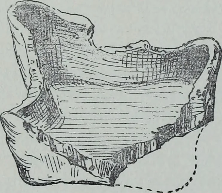 An illustration from Archaiologik ephmeris : ekdidomen hypo ts en Athnais Archaiologiks Hetairias, 1862, leaf 227