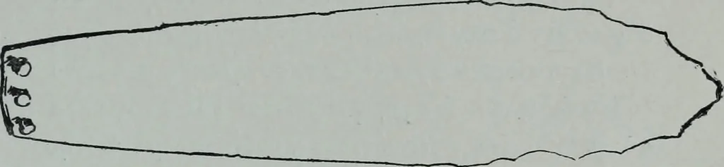 An illustration from Archaiologik ephmeris : ekdidomen hypo ts en Athnais Archaiologiks Hetairias, 1862, leaf 238
