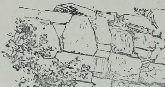 An illustration from Archaiologik ephmeris : ekdidomen hypo ts en Athnais Archaiologiks Hetairias, 1862, leaf 255