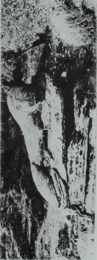 An illustration from Archaiologik ephmeris : ekdidomen hypo ts en Athnais Archaiologiks Hetairias, 1862, leaf 306