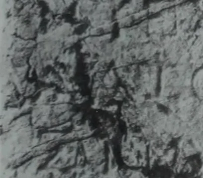 An illustration from Archaiologik ephmeris : ekdidomen hypo ts en Athnais Archaiologiks Hetairias, 1862, leaf 308