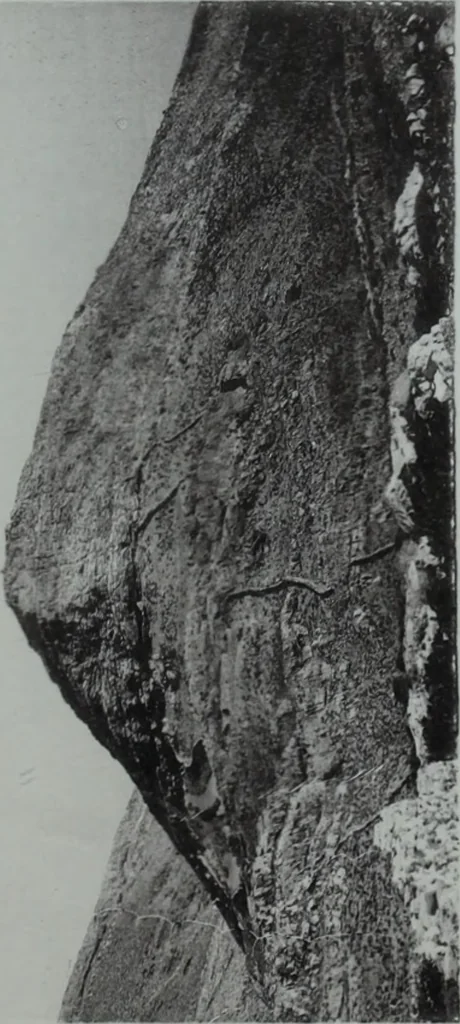 An illustration from Archaiologik ephmeris : ekdidomen hypo ts en Athnais Archaiologiks Hetairias, 1862, leaf 450