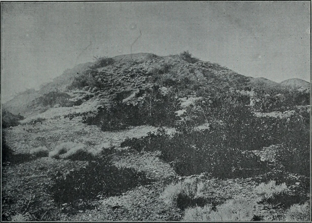 An illustration from Archaiologik ephmeris : ekdidomen hypo ts en Athnais Archaiologiks Hetairias, 1862, leaf 462
