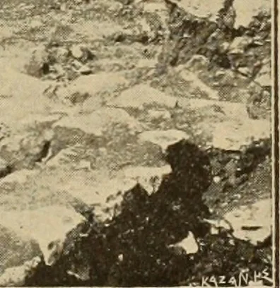 An illustration from Archaiologik ephmeris : ekdidomen hypo ts en Athnais Archaiologiks Hetairias, 1862, leaf 108