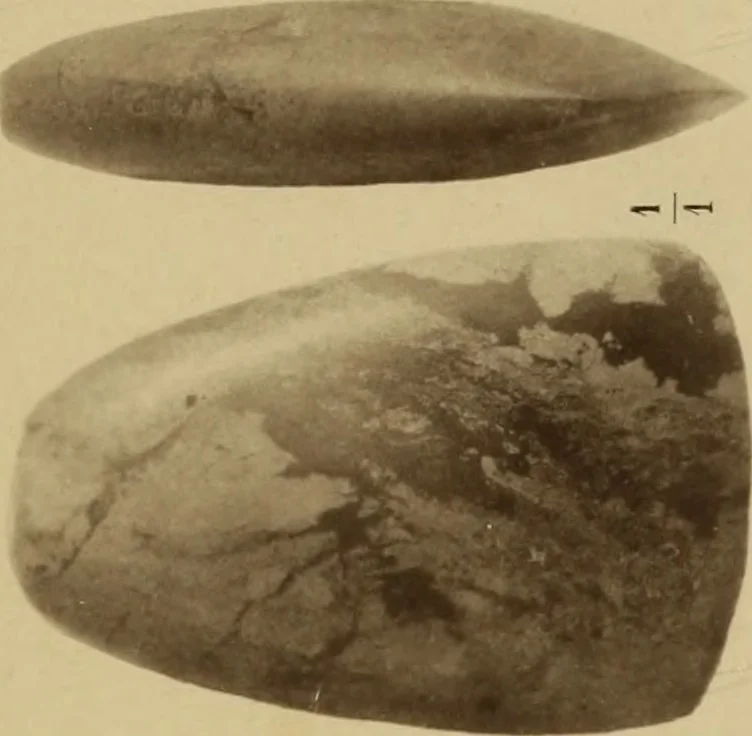 An illustration from Archaiologik ephmeris : ekdidomen hypo ts en Athnais Archaiologiks Hetairias, 1862, leaf 274