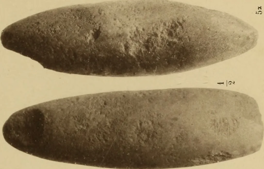 An illustration from Archaiologik ephmeris : ekdidomen hypo ts en Athnais Archaiologiks Hetairias, 1862, leaf 274