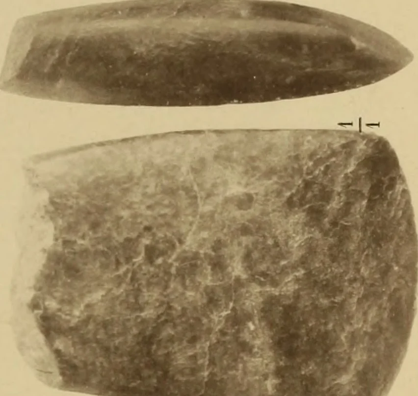 An illustration from Archaiologik ephmeris : ekdidomen hypo ts en Athnais Archaiologiks Hetairias, 1862, leaf 274