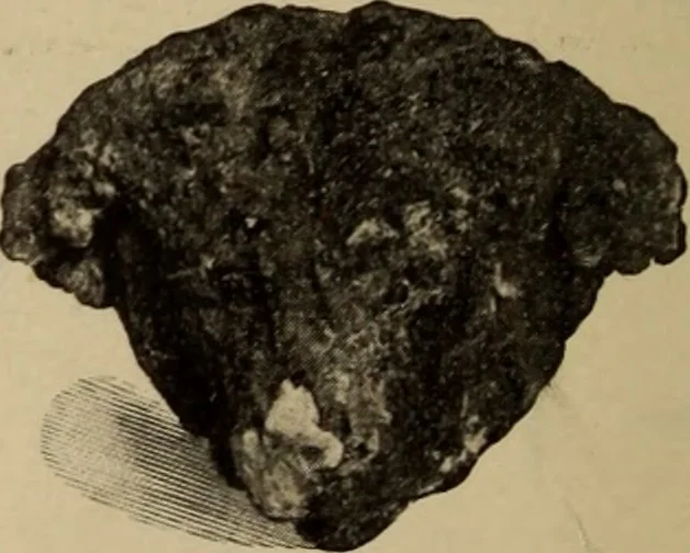 An illustration from Archaiologik ephmeris : ekdidomen hypo ts en Athnais Archaiologiks Hetairias, 1862, leaf 377