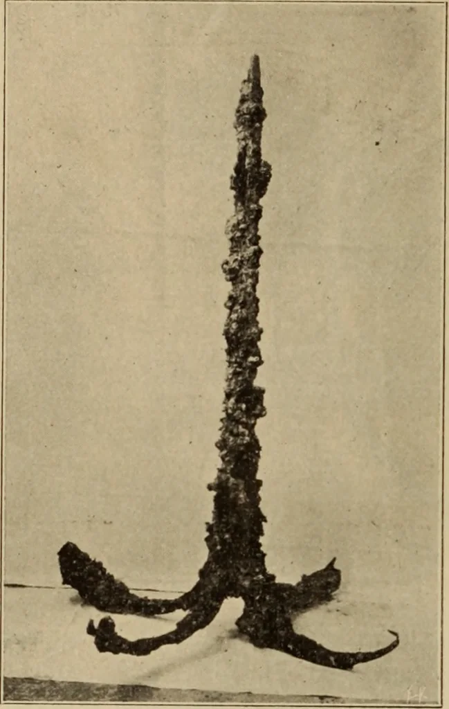 An illustration from Archaiologik ephmeris : ekdidomen hypo ts en Athnais Archaiologiks Hetairias, 1862, leaf 381