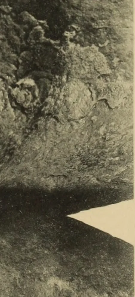 An illustration from Archaiologik ephmeris : ekdidomen hypo ts en Athnais Archaiologiks Hetairias, 1862, leaf 414