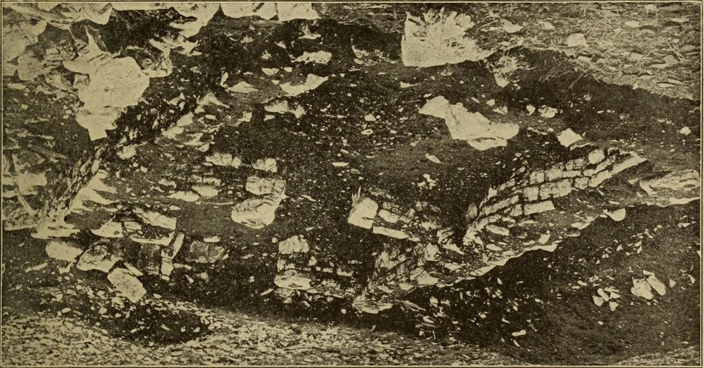 An illustration from Archaiologik ephmeris : ekdidomen hypo ts en Athnais Archaiologiks Hetairias, 1862, leaf 518
