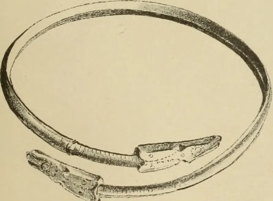 An illustration from Archaiologik ephmeris : ekdidomen hypo ts en Athnais Archaiologiks Hetairias, 1862, leaf 566