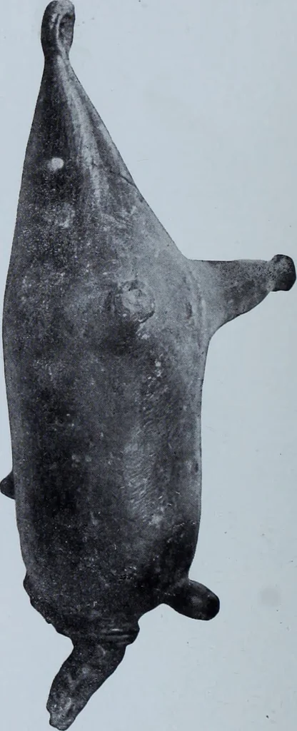 An illustration from Archaiologik ephmeris : ekdidomen hypo ts en Athnais Archaiologiks Hetairias, 1862, leaf 113