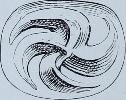 An illustration from Archaiologik ephmeris : ekdidomen hypo ts en Athnais Archaiologiks Hetairias, 1862, leaf 17