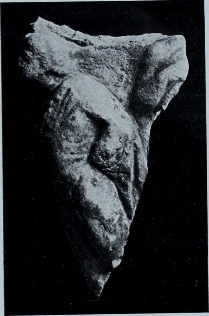 An illustration from Archaiologik ephmeris : ekdidomen hypo ts en Athnais Archaiologiks Hetairias, 1862, leaf 198