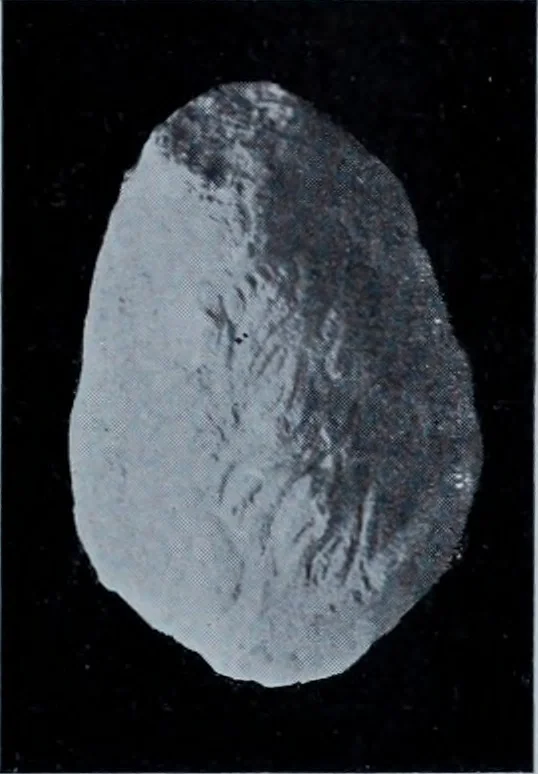 An illustration from Archaiologik ephmeris : ekdidomen hypo ts en Athnais Archaiologiks Hetairias, 1862, leaf 218
