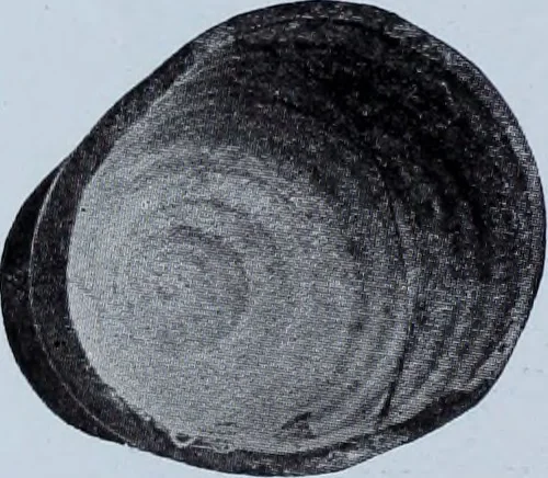An illustration from Archaiologik ephmeris : ekdidomen hypo ts en Athnais Archaiologiks Hetairias, 1862, leaf 295