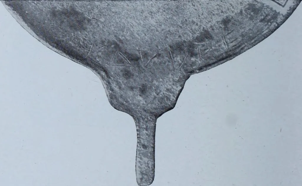 An illustration from Archaiologik ephmeris : ekdidomen hypo ts en Athnais Archaiologiks Hetairias, 1862, leaf 297