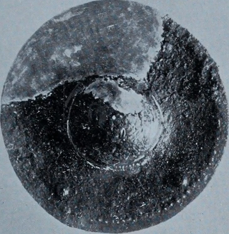 An illustration from Archaiologik ephmeris : ekdidomen hypo ts en Athnais Archaiologiks Hetairias, 1862, leaf 30