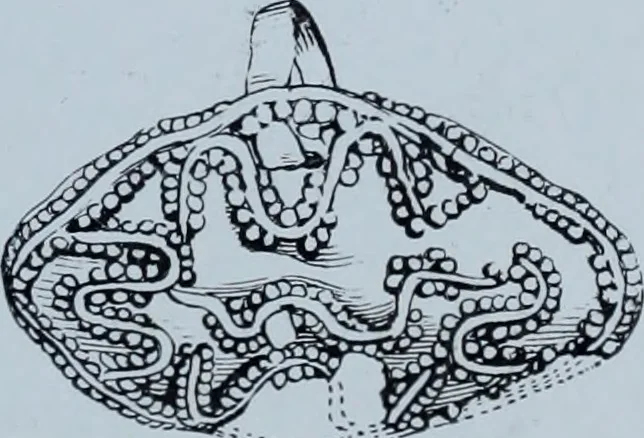 An illustration from Archaiologik ephmeris : ekdidomen hypo ts en Athnais Archaiologiks Hetairias, 1862, leaf 32