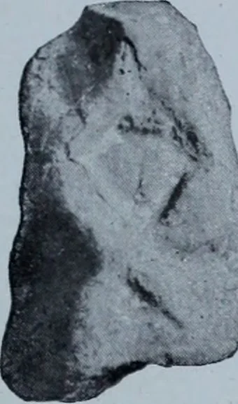 An illustration from Archaiologik ephmeris : ekdidomen hypo ts en Athnais Archaiologiks Hetairias, 1862, leaf 348
