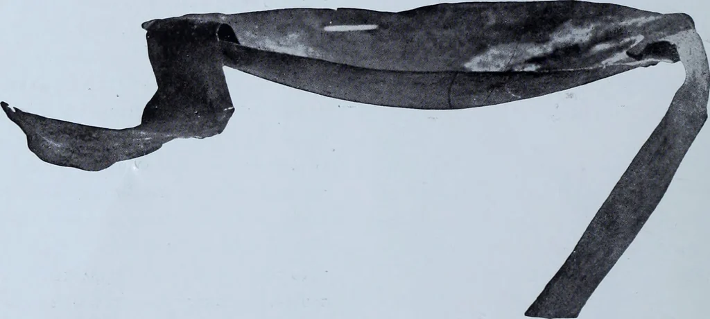An illustration from Archaiologik ephmeris : ekdidomen hypo ts en Athnais Archaiologiks Hetairias, 1862, leaf 91