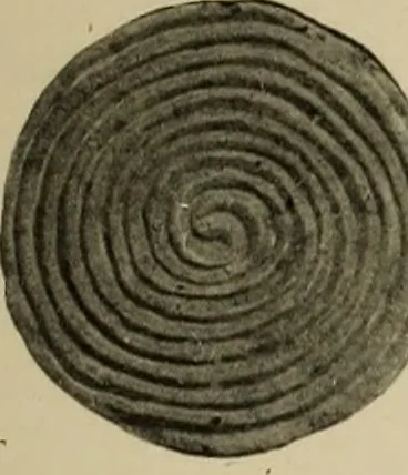 An illustration from Archaiologik ephmeris : ekdidomen hypo ts en Athnais Archaiologiks Hetairias, 1862, leaf 144
