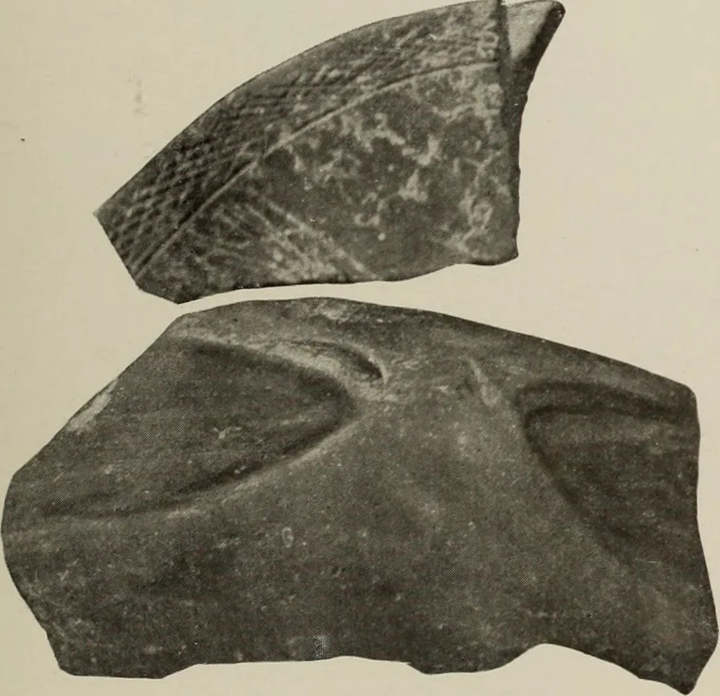 An illustration from Archaiologik ephmeris : ekdidomen hypo ts en Athnais Archaiologiks Hetairias, 1862, leaf 194