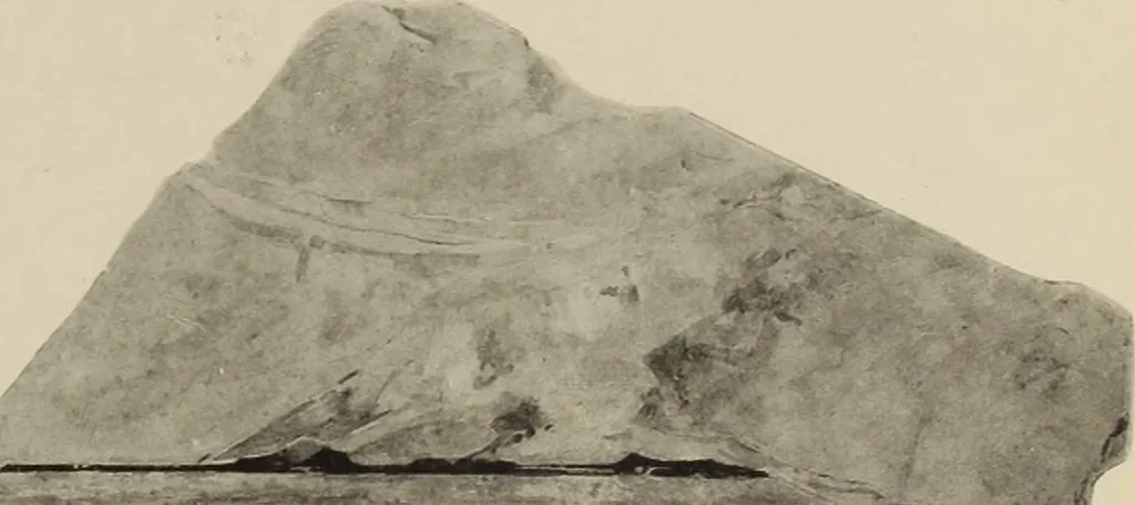 An illustration from Archaiologik ephmeris : ekdidomen hypo ts en Athnais Archaiologiks Hetairias, 1862, leaf 248