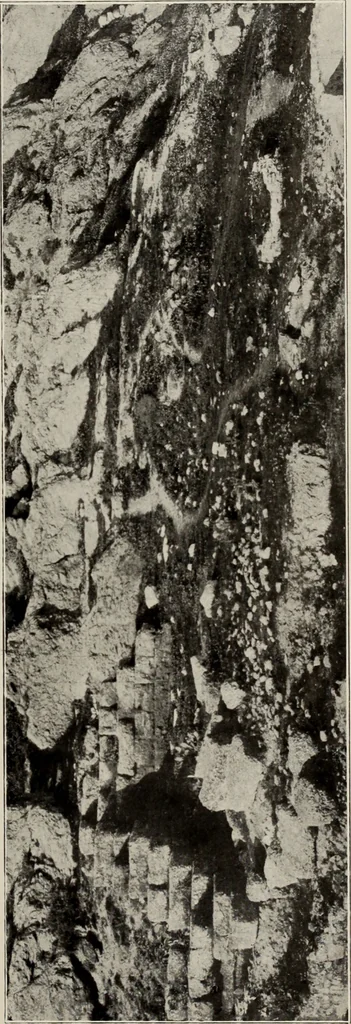 An illustration from Archaiologik ephmeris : ekdidomen hypo ts en Athnais Archaiologiks Hetairias, 1862, leaf 364