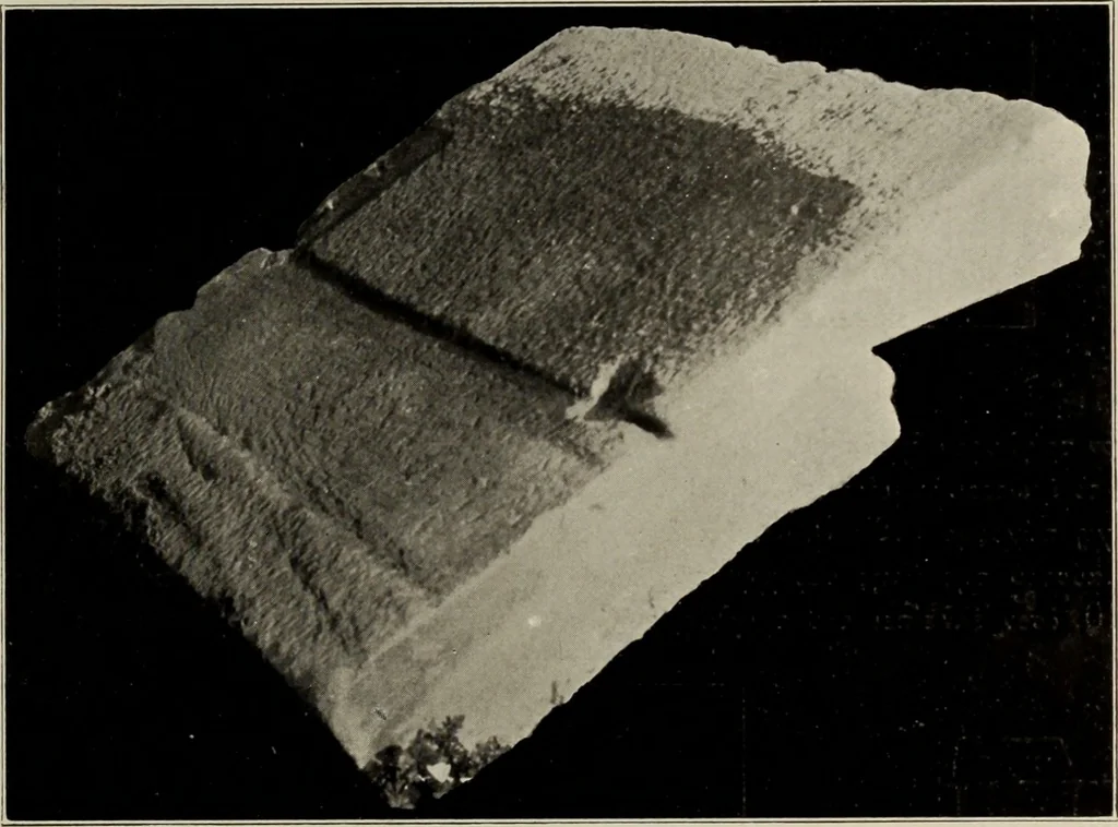 An illustration from Archaiologik ephmeris : ekdidomen hypo ts en Athnais Archaiologiks Hetairias, 1862, leaf 368