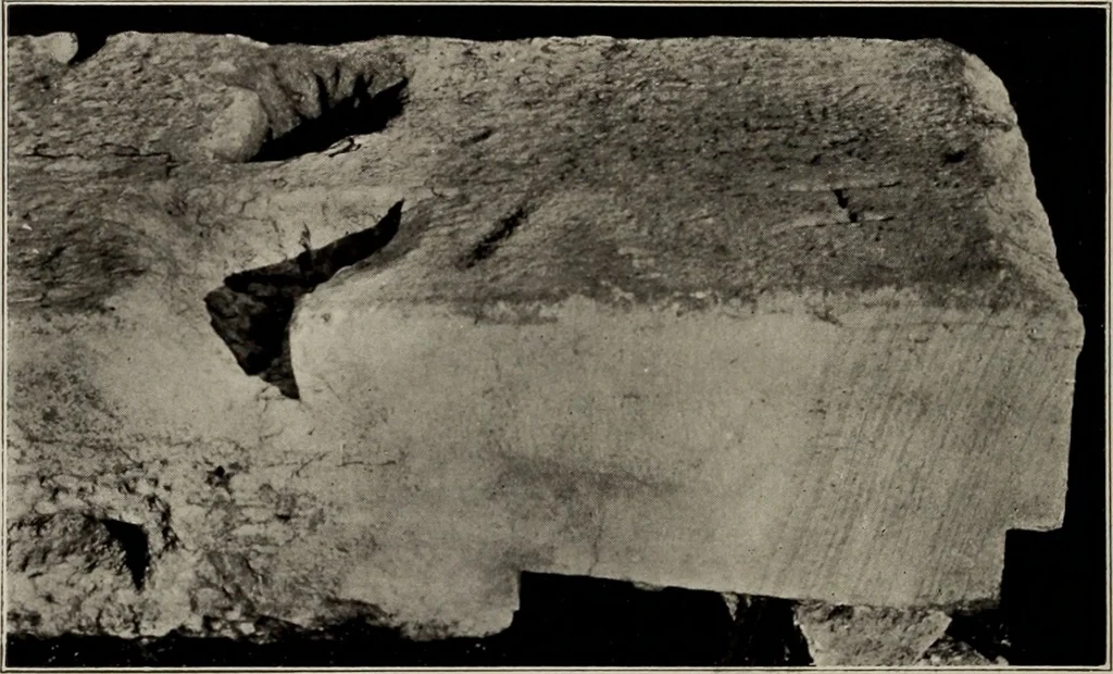 An illustration from Archaiologik ephmeris : ekdidomen hypo ts en Athnais Archaiologiks Hetairias, 1862, leaf 369