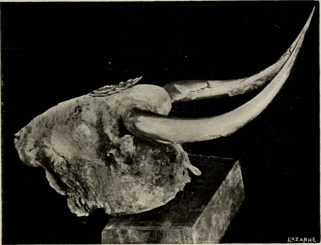 An illustration from Archaiologik ephmeris : ekdidomen hypo ts en Athnais Archaiologiks Hetairias, 1862, leaf 38