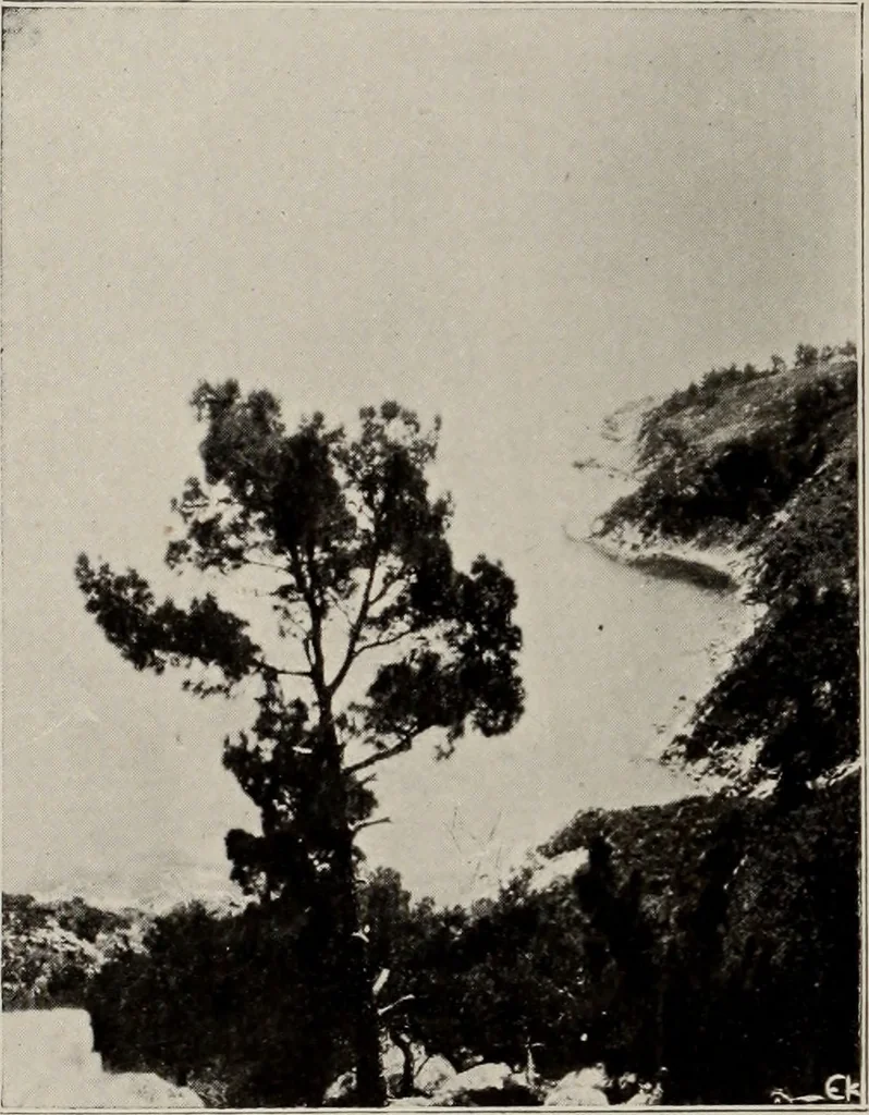An illustration from Archaiologik ephmeris : ekdidomen hypo ts en Athnais Archaiologiks Hetairias, 1862, leaf 405