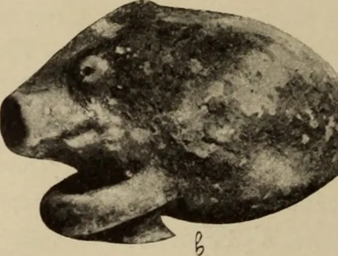 An illustration from Archaiologik ephmeris : ekdidomen hypo ts en Athnais Archaiologiks Hetairias, 1862, leaf 161