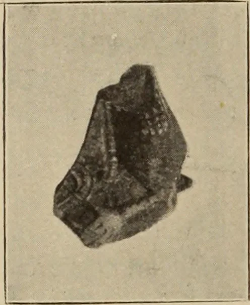 An illustration from Archaiologik ephmeris : ekdidomen hypo ts en Athnais Archaiologiks Hetairias, 1862, leaf 165