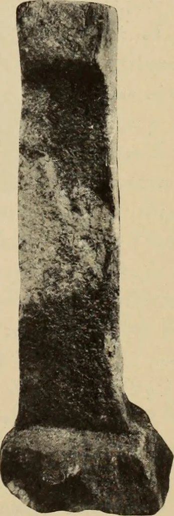 An illustration from Archaiologik ephmeris : ekdidomen hypo ts en Athnais Archaiologiks Hetairias, 1862, leaf 166