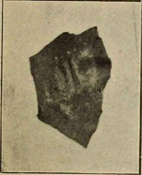 An illustration from Archaiologik ephmeris : ekdidomen hypo ts en Athnais Archaiologiks Hetairias, 1862, leaf 170