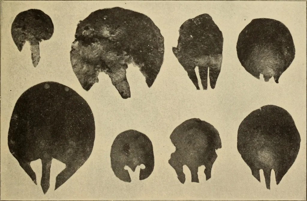 An illustration from Archaiologik ephmeris : ekdidomen hypo ts en Athnais Archaiologiks Hetairias, 1862, leaf 172