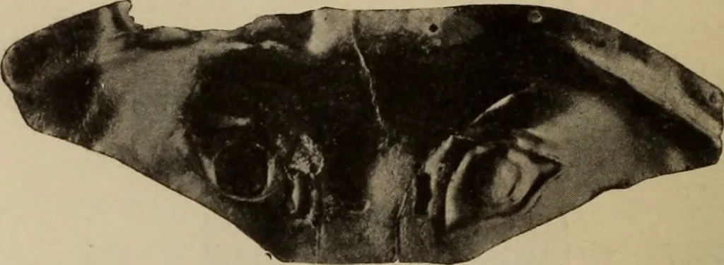 An illustration from Archaiologik ephmeris : ekdidomen hypo ts en Athnais Archaiologiks Hetairias, 1862, leaf 173