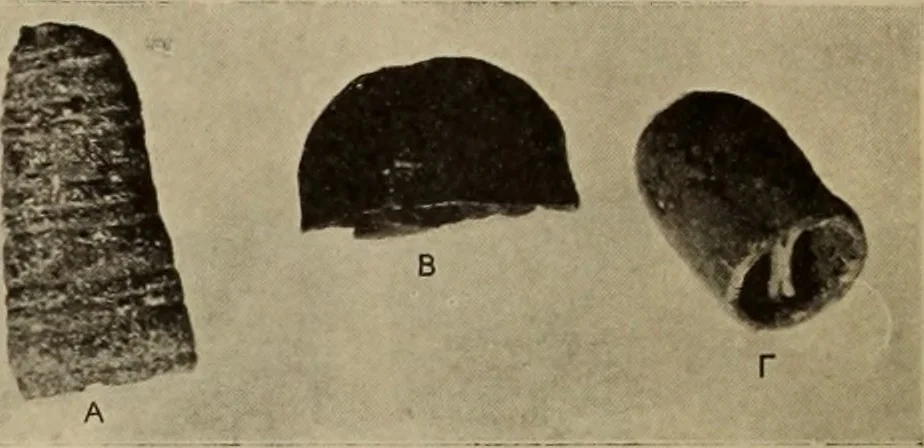 An illustration from Archaiologik ephmeris : ekdidomen hypo ts en Athnais Archaiologiks Hetairias, 1862, leaf 179