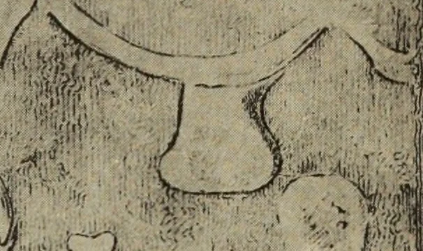 An illustration from Archaiologik ephmeris : ekdidomen hypo ts en Athnais Archaiologiks Hetairias, 1862, leaf 304