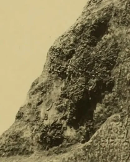 An illustration from Archaiologik ephmeris : ekdidomen hypo ts en Athnais Archaiologiks Hetairias, 1862, leaf 386