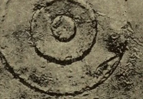 An illustration from Archaiologik ephmeris : ekdidomen hypo ts en Athnais Archaiologiks Hetairias, 1862, leaf 42