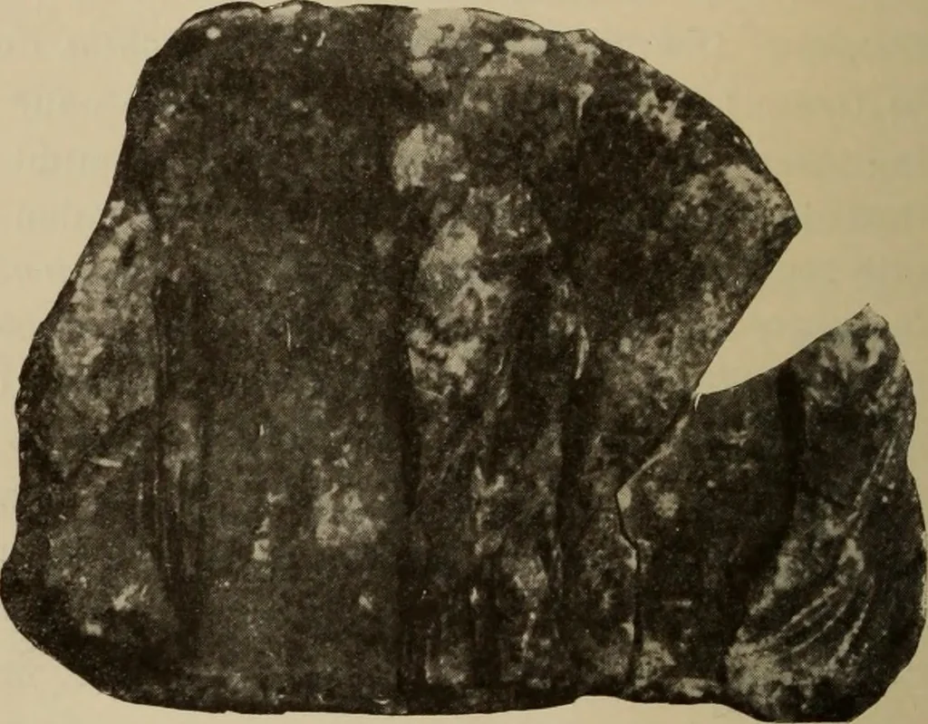An illustration from Archaiologik ephmeris : ekdidomen hypo ts en Athnais Archaiologiks Hetairias, 1862, leaf 441