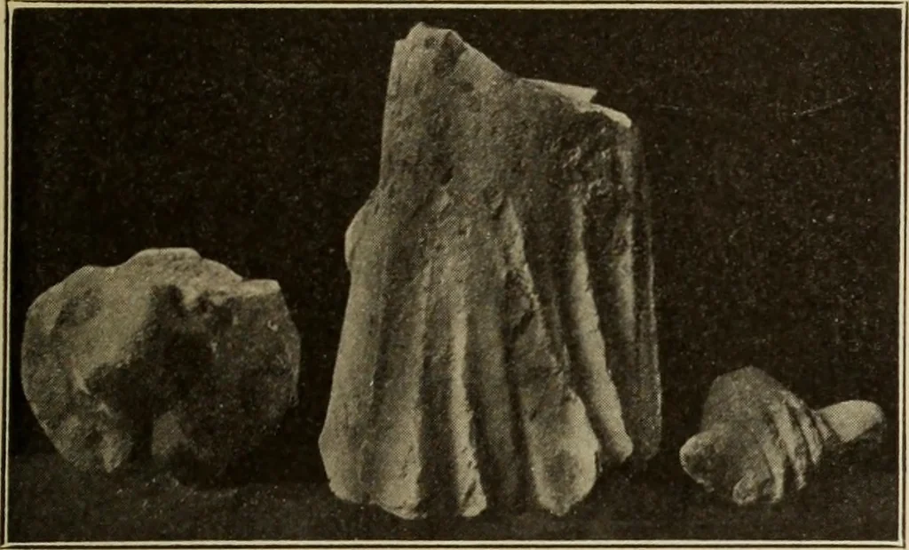 An illustration from Archaiologik ephmeris : ekdidomen hypo ts en Athnais Archaiologiks Hetairias, 1862, leaf 528