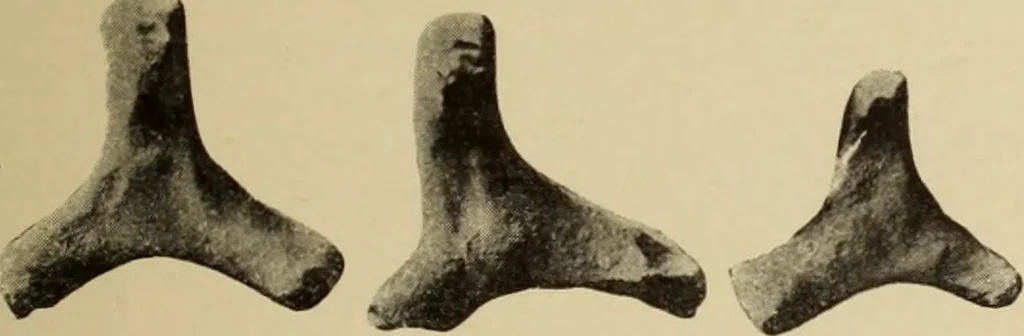 An illustration from Archaiologik ephmeris : ekdidomen hypo ts en Athnais Archaiologiks Hetairias, 1862, leaf 528