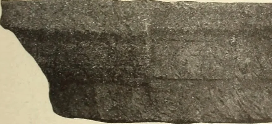 An illustration from Archaiologik ephmeris : ekdidomen hypo ts en Athnais Archaiologiks Hetairias, 1862, leaf 186