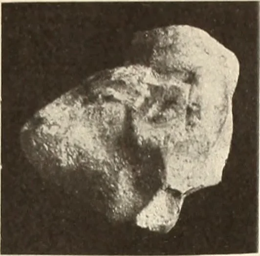 An illustration from Archaiologik ephmeris : ekdidomen hypo ts en Athnais Archaiologiks Hetairias, 1862, leaf 192